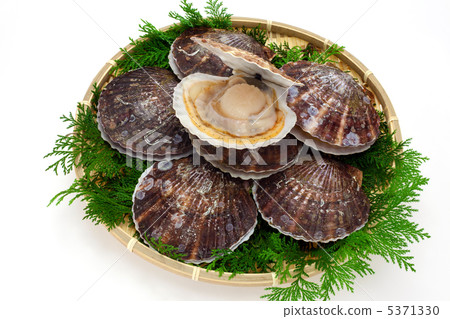 籃子裡有幾個扇貝 5371330