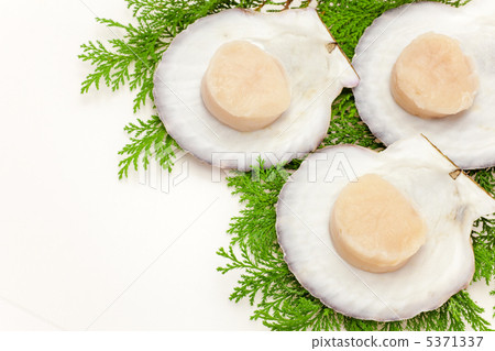 Scallop sashimi 5371337