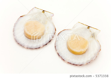 扇貝生魚片 5371338