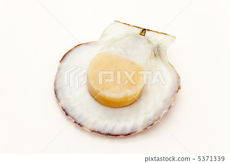 Scallop sashimi 5371339