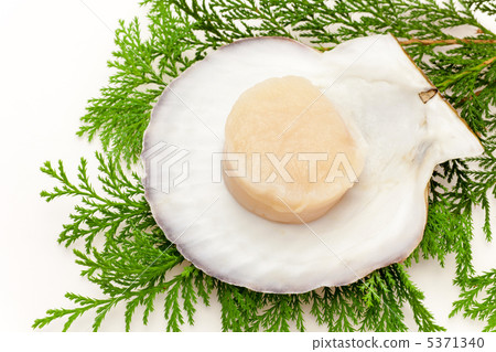 扇貝生魚片 5371340