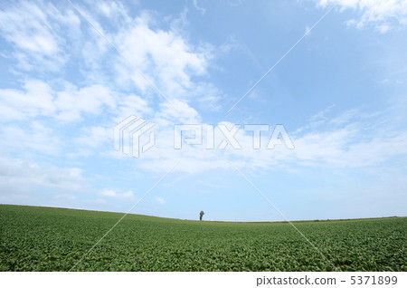 風景 風景 5371899