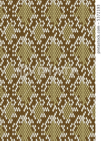 Snake Pattern Pattern Material 5372193
