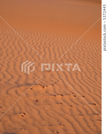 Sahara desert and wind pattern 5372445