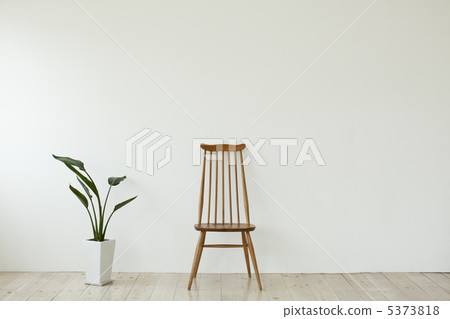 室內盆栽植物和椅子 室內盆栽植物和椅子 5373818
