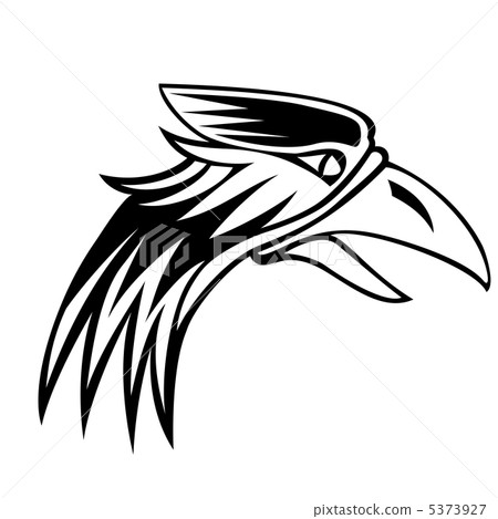 eagle isolated on white background black and white sign. eagle isolated on white background black and white sign. 5373927
