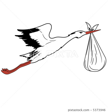 White Stork in flight delivering a newborn . White Stork in flight delivering a newborn . 5373946
