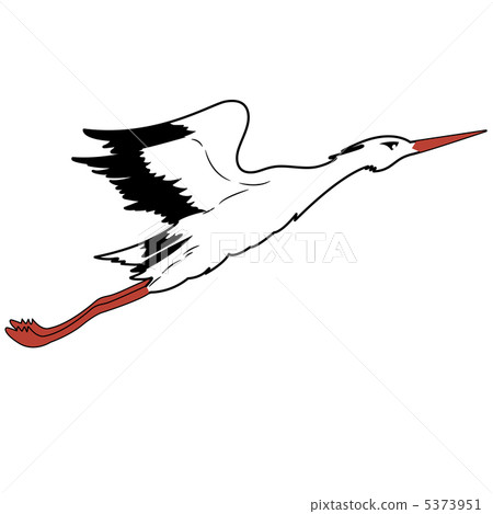 White Stork in flight. vector illustration. 5373951