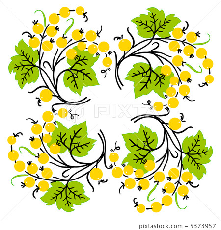 Bunch of yellow currant. Ripe berry. Bunch of yellow currant. Ripe berry. 5373957