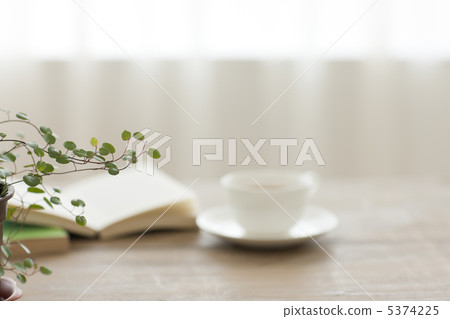 Tea and ornamental plants on the table Tea and ornamental plants on the table 5374225