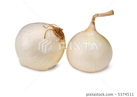 Garlic 5374511