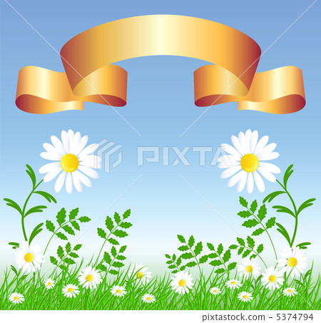 Camomiles with golden ribbon 5374794