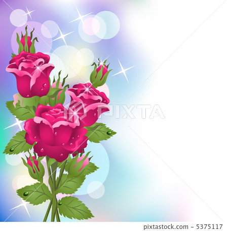 Roses Roses 5375117