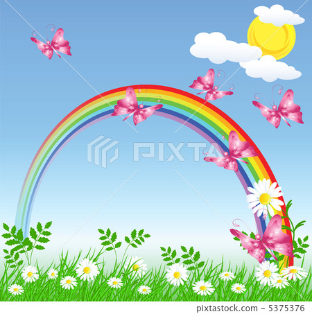 Camomiles with green grass and rainbow 5375376