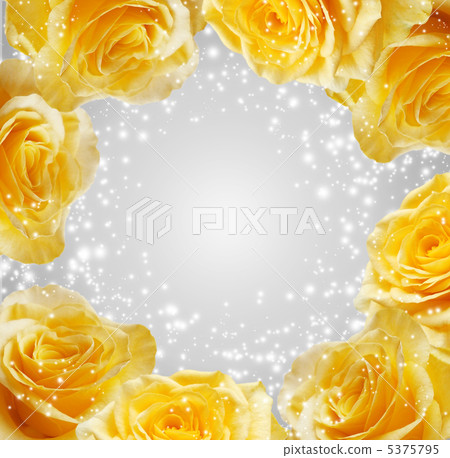 Roses Roses 5375795