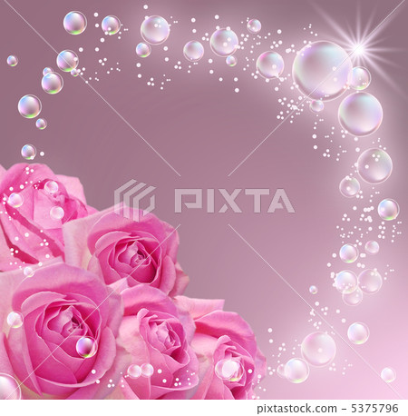 Roses Roses 5375796