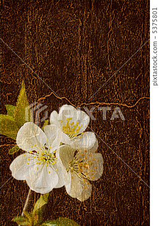 Wooden texture with flowers Wooden texture with flowers 5375801
