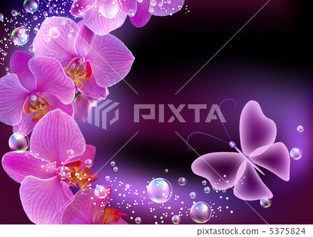 Orchid and butterfly 5375824