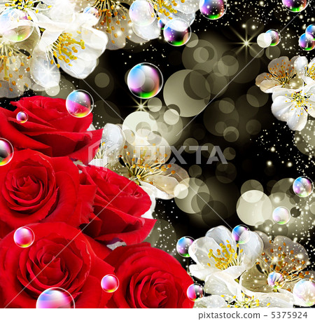 Roses - Stock Illustration [5375924] - PIXTA