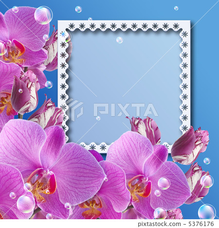 Orchid and tulips 5376176