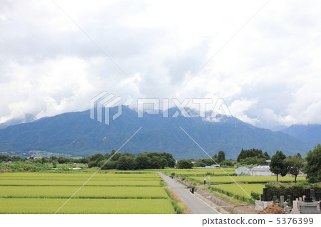 仲夏安曇野 5376399