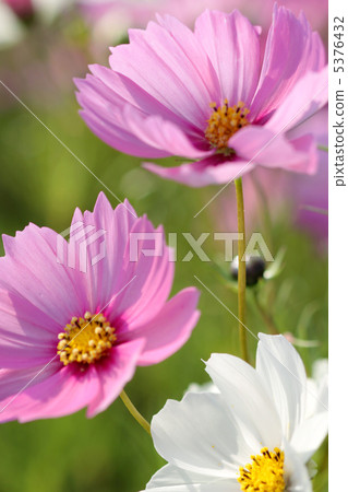 宇宙閃耀著光芒 5376432