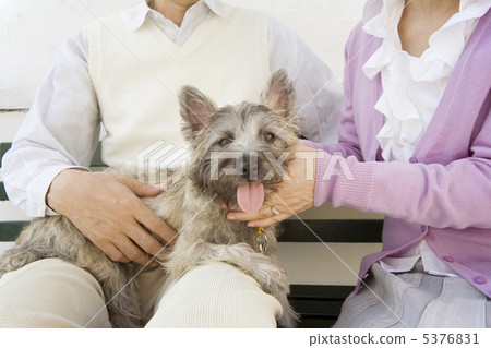 一對可愛的情侶狗 5376831