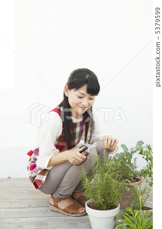 收穫迷迭香的婦女 5379599