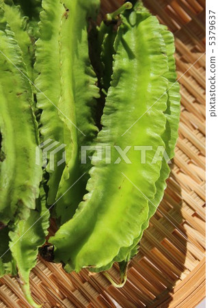 Winged beans Winged beans 5379637