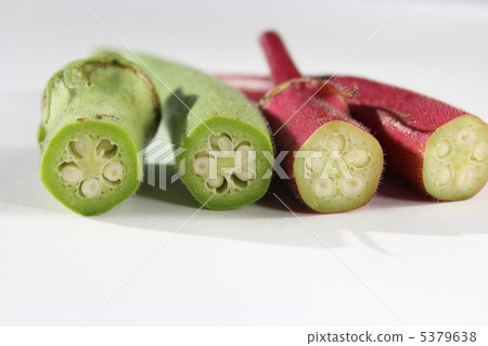 Maru秋葵的橫斷面 5379638