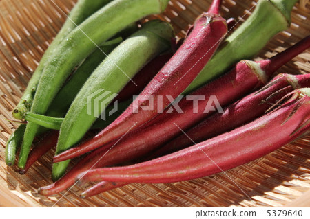 Maru okra Maru okra 5379640