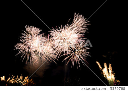 Inagawa fireworks display 5379768