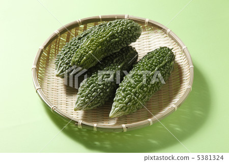 Bitter gourd 5381324