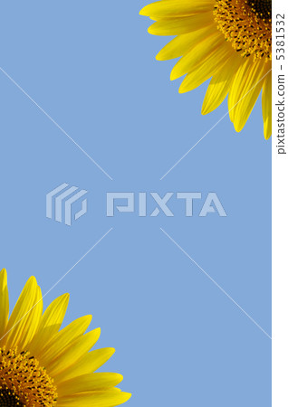 Frame (sunflower) 5381532