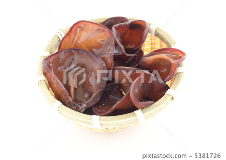 活潑的石斑魚 5381726