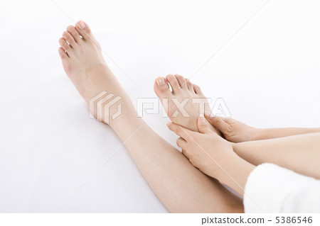 埃斯特 5386546