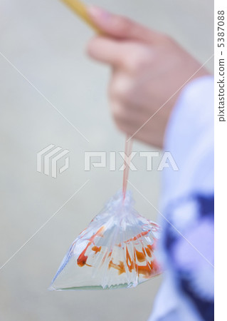 Goldfish   5387088