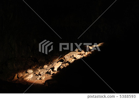 光進入巨大的洞穴（馬爾國家公園/婆羅洲/東馬來西亞） 5388593