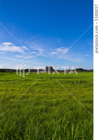 The Great Palace of Heijyo-kyo ruins 5388837