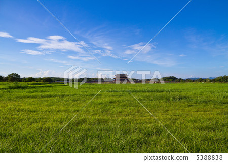 The Great Palace of Heijyo-kyo ruins 5388838