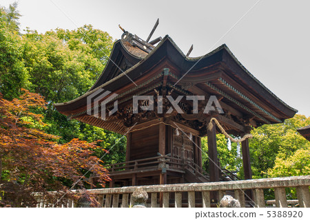 阿智神社　本殿 5388920