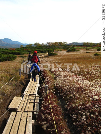 Mountain climbing mountain road of autumn Mountain climbing mountain road of autumn 5389678
