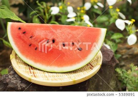 Watermelon and summer flower bed Watermelon and summer flower bed 5389891
