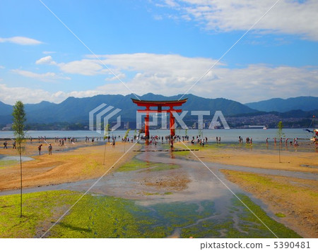 Itsukushima shrine  5390481