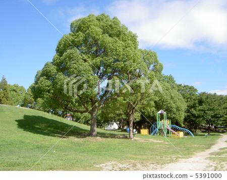 Kanoka Park in the summer 5391000