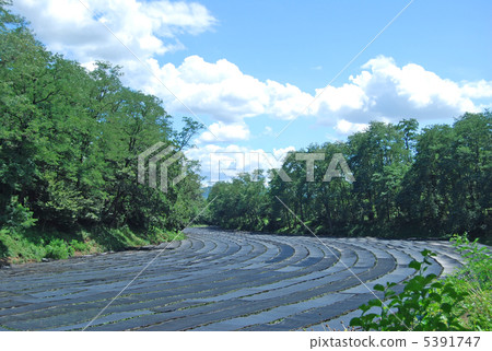 安曇野芥末農場 5391747