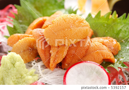 From Hokkaido · Murasaki Sea Urchin From Hokkaido · Murasaki Sea Urchin 5392157