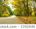 Landscape park 5392646