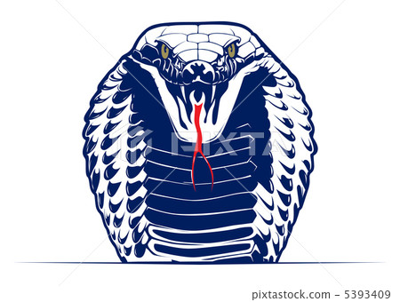 cobra snake cobra snake 5393409
