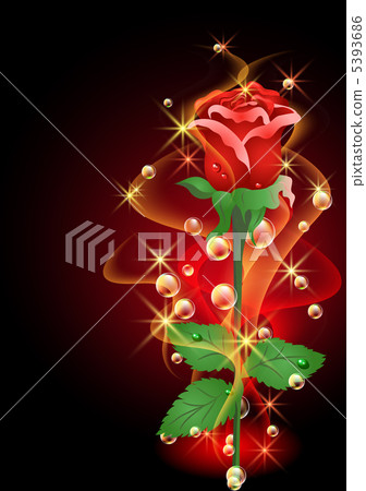 Roses and stars 5393686